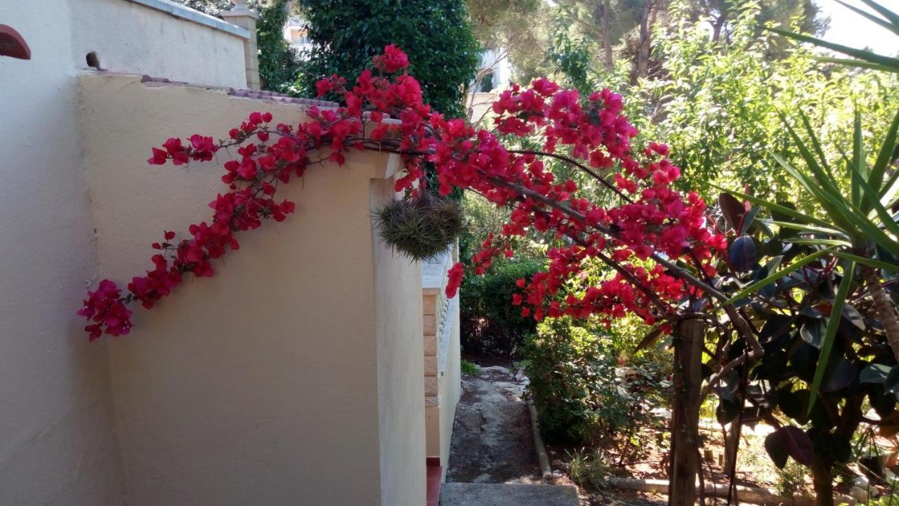 Casa Montse Villa Cala Galdana  Bagian luar foto