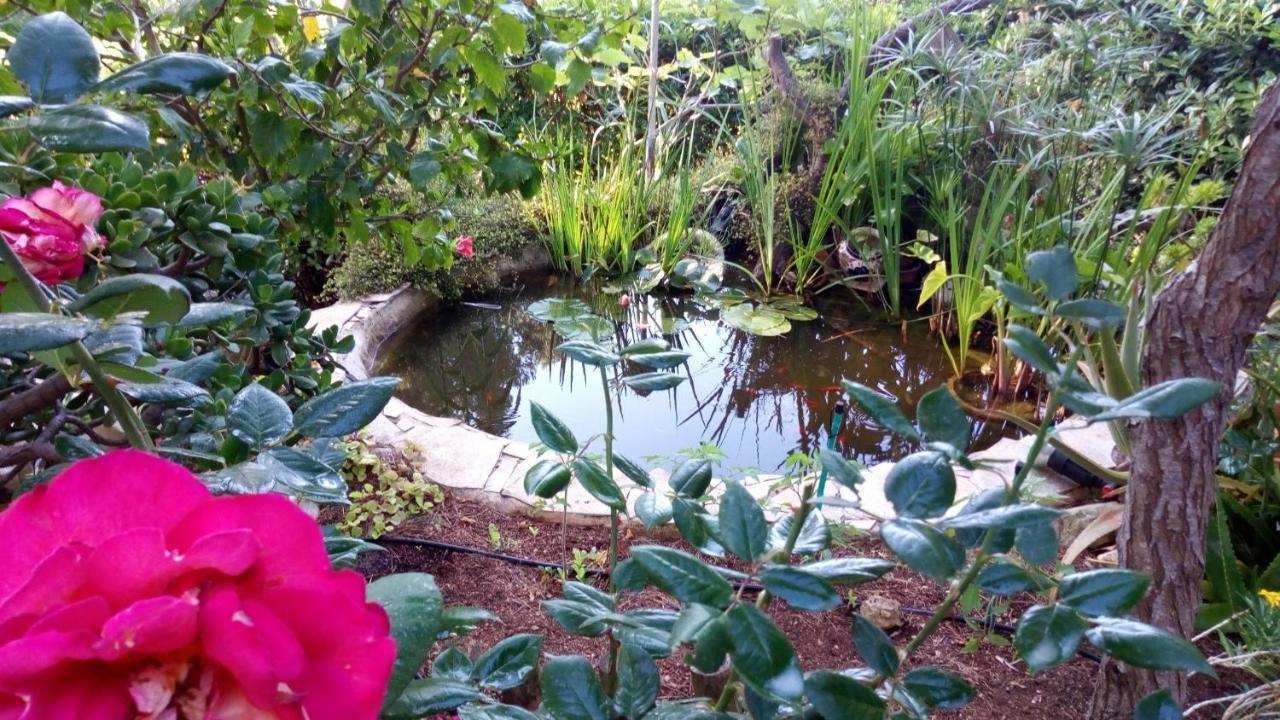Casa Montse Villa Cala Galdana  Bagian luar foto